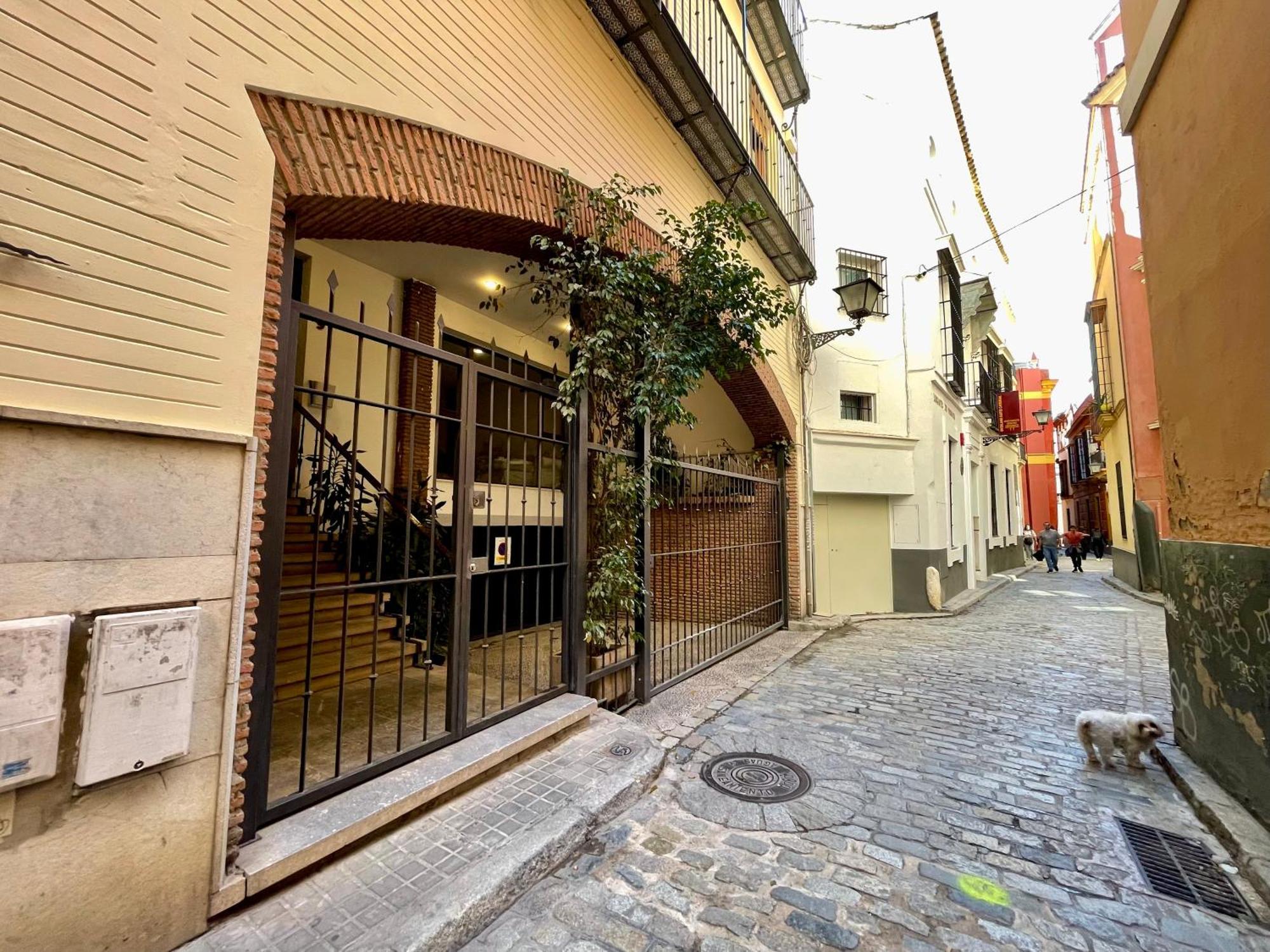Eva Recommends Catedral Confort Sevilha Exterior foto